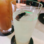 爬虫類バー ゴルゴーン的實拍圖