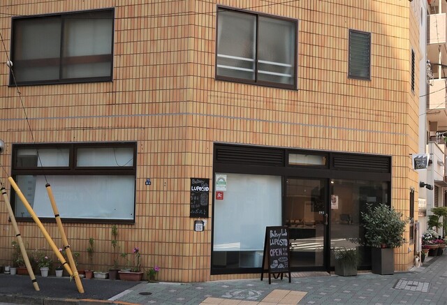 recommendations image for LUPOSTO