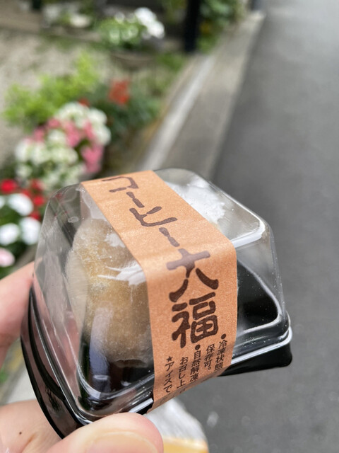 紅梅堂的实拍高清图