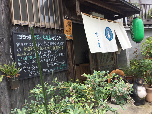 すず菜的实拍高清图