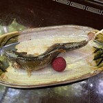 recommendations for ふじや