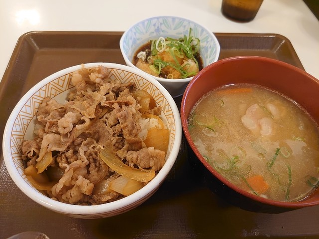 すき家 36号苫小牧明野店的實拍高清圖