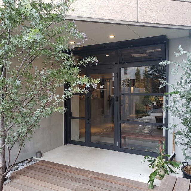 recommendations image for ヤングツリーズコーヒー