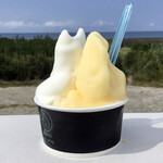 COCO GELATO 糸島店的實拍圖