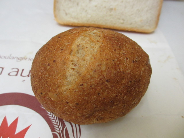 recommendations image for スギノキ