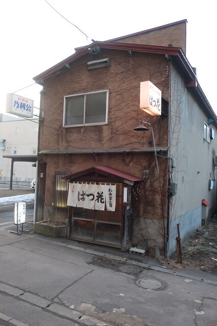 はつ花的實拍高清圖