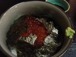 じゃじゃ馬的实拍高清图