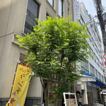 recommendations for Baan HAB