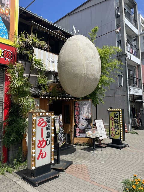 丹頂的实拍高清图