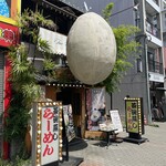 丹頂的实拍图