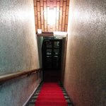 recommendations for IZUMI