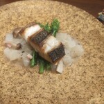 recommendations for SALAO